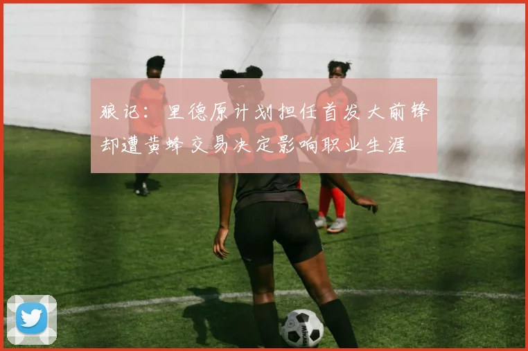 狼记：里德原计划担任首发大前锋却遭黄蜂交易决定影响职业生涯
